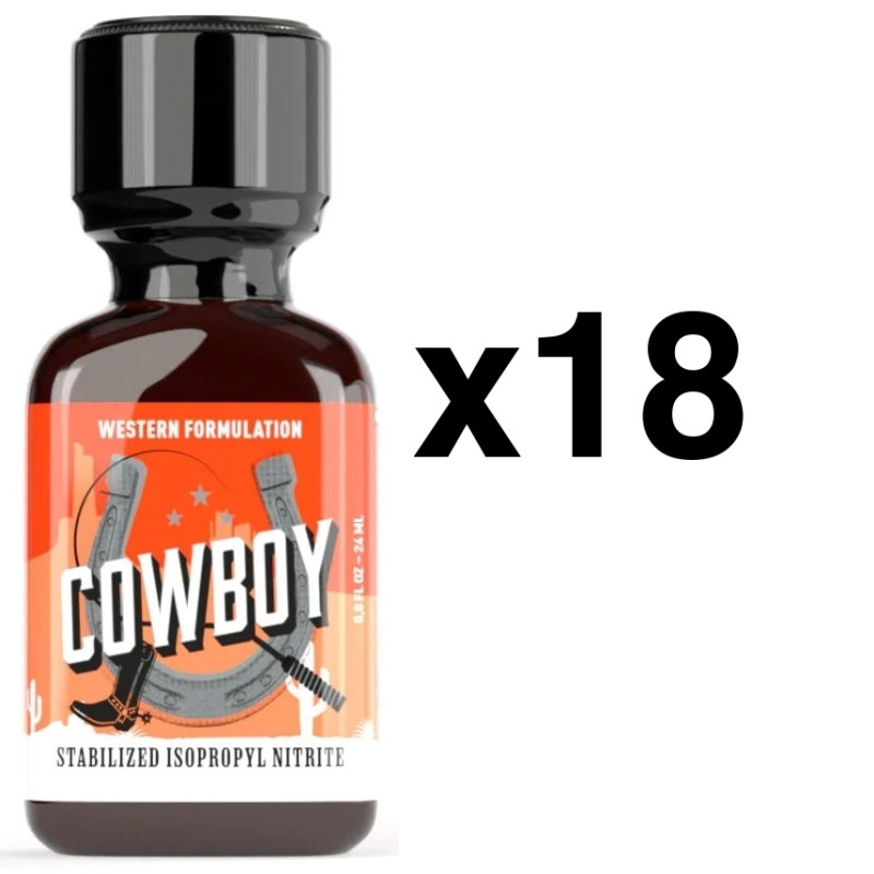 BGP Leather Cleaner COWBOY 24ml x18